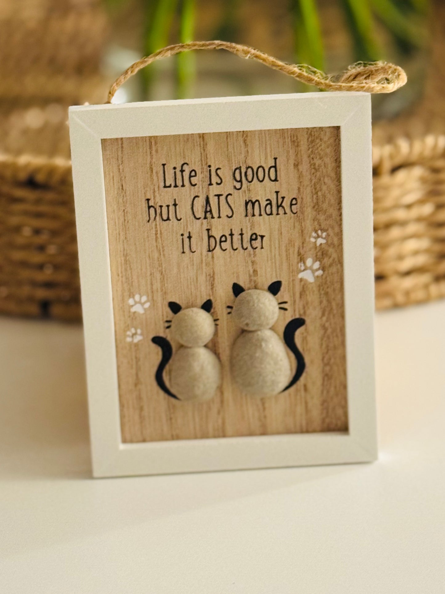 Cat Pebble Frame